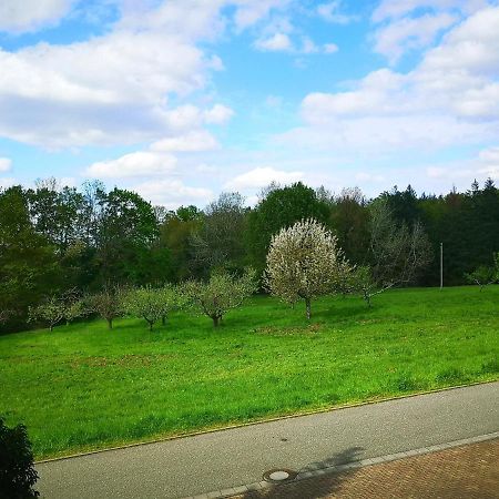 Ein Appartement Und Ein Komfortzimmer In Malsch, Zwischen Karlsruhe, Rastatt Und Baden-Baden Malsch  Exteriör bild