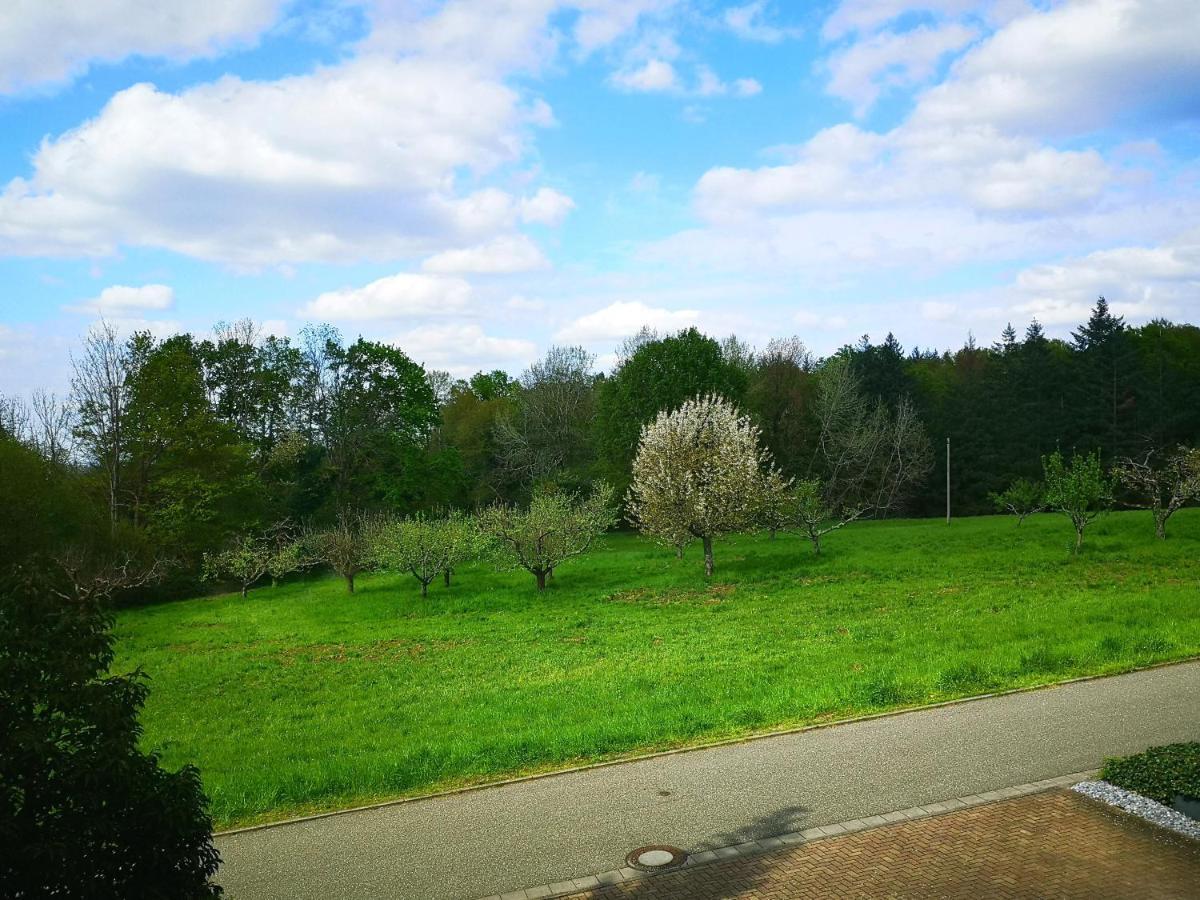 Ein Appartement Und Ein Komfortzimmer In Malsch, Zwischen Karlsruhe, Rastatt Und Baden-Baden Malsch  Exteriör bild